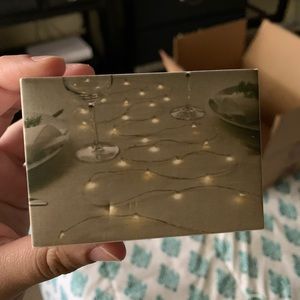 fairy mini lights
